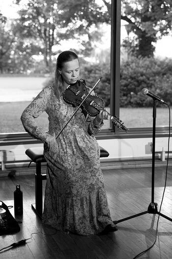Musical instrument ,String instrument ,Violin family ,String instrument ,Musician.