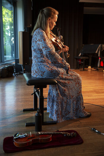 Musician ,Window ,Music ,Musical instrument ,Entertainment.