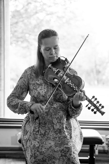 Musical instrument ,Violin family ,Violin ,Fiddle ,Violist.