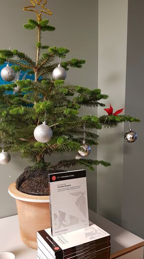 Christmas decoration ,Christmas ornament ,Interior design ,Woody plant ,Holiday.