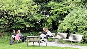 Furniture ,Outdoor bench ,Plant ,Street furniture ,Leaf.