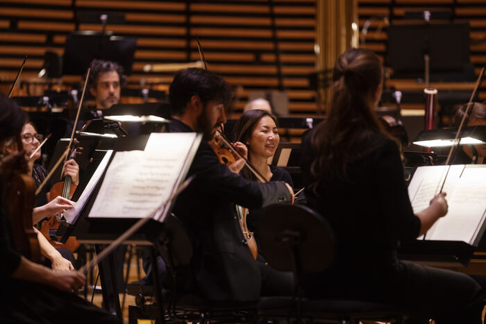An orchestra playing music. Photo.