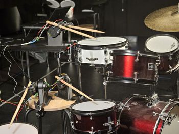 Image may contain: Membranophone, Musical instrument, Drum, Idiophone, Photograph.
