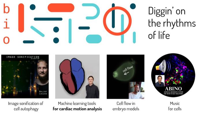 Collage with the logo for RITMO and the text "Bio" and Diggin' on the rythms of life", underneath are four photos. 
