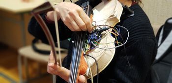 String instrument ,Musical instrument ,String instrument ,Bowed string instrument ,Hand.