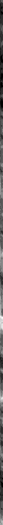 Tints and shades ,Font ,Pattern.