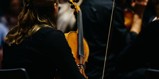 Young violinist sitting with her back to the camera in rehersal