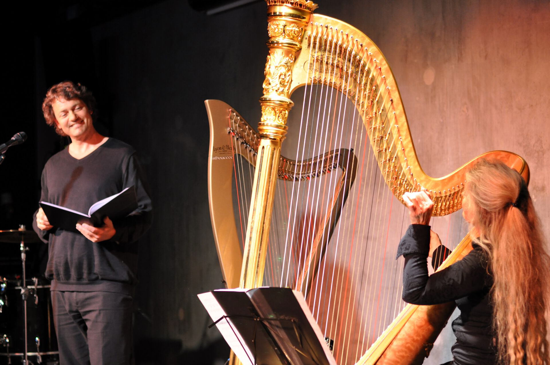 Harp ,Clàrsach ,Konghou ,Harpist ,String instrument.