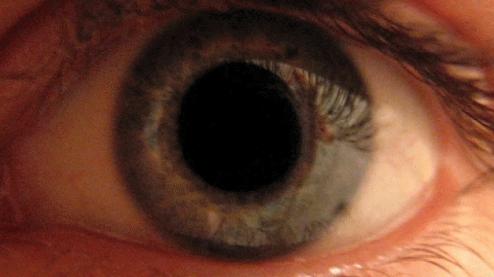 A close-up gif of an eye with blue/green eyecolor. The pupil dilates a lot so that the black center of the eye becomes much larger. This is on a loop.