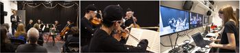 Musical instrument ,Violin family ,String instrument ,Musician ,String instrument.