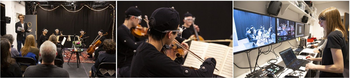 Musical instrument ,Violin family ,Musician ,Violin ,String instrument.
