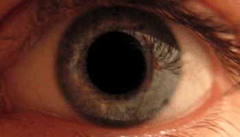Blue ,Eyelash ,Iris ,Close-up ,Brown.