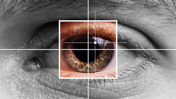 Eyelash ,Iris ,Close-up ,Reflection ,Nerve.