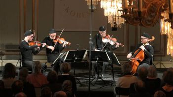Musical instrument ,String instrument ,Violin family ,Chordophone ,Violinist.