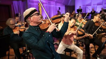 Musical instrument ,Violin family ,String instrument ,Chordophone ,Violinist.