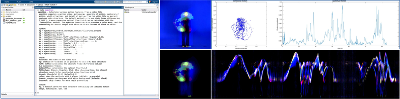 Musical Gestures Toolbox for Matlab