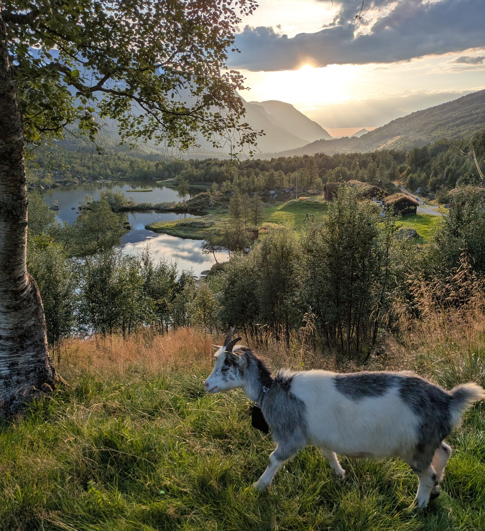 Bildet kan inneholde: naturlandskap, sky, høyde, høylandet, landskap