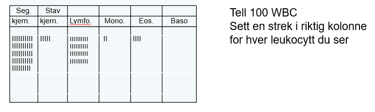 Bildet kan inneholde: tekst, font, linje, design.