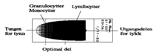 Tegning av blodutstryk.