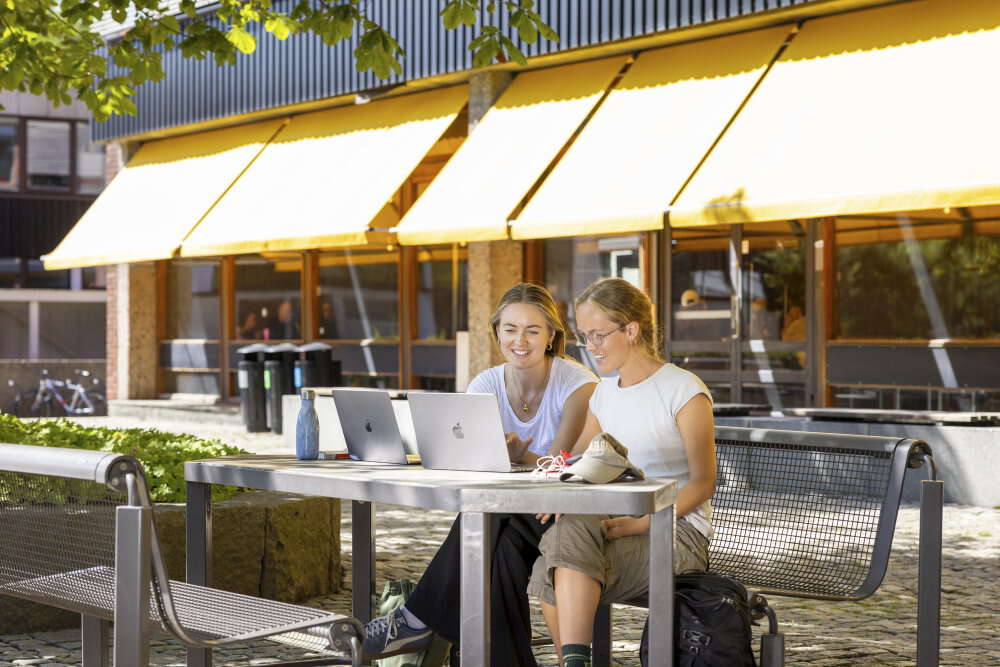 To kvinnelige studenter sitter på en benk utenfor et bygg på Blindern. På bordet foran seg har de hver sin bærbare PC.