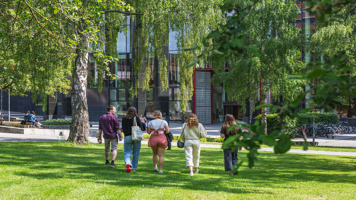 Students on the lawn under trees