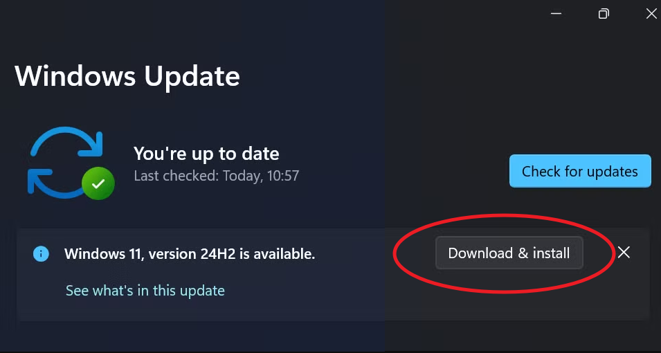 picture of the Windows Update dialouge