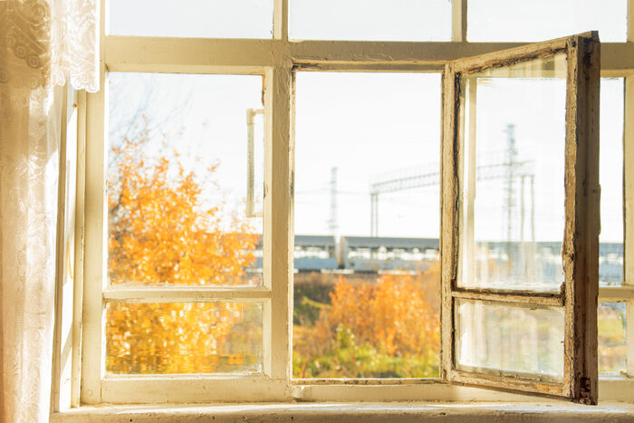 open window, blue blinds, tree, autumn, leaves, orange
