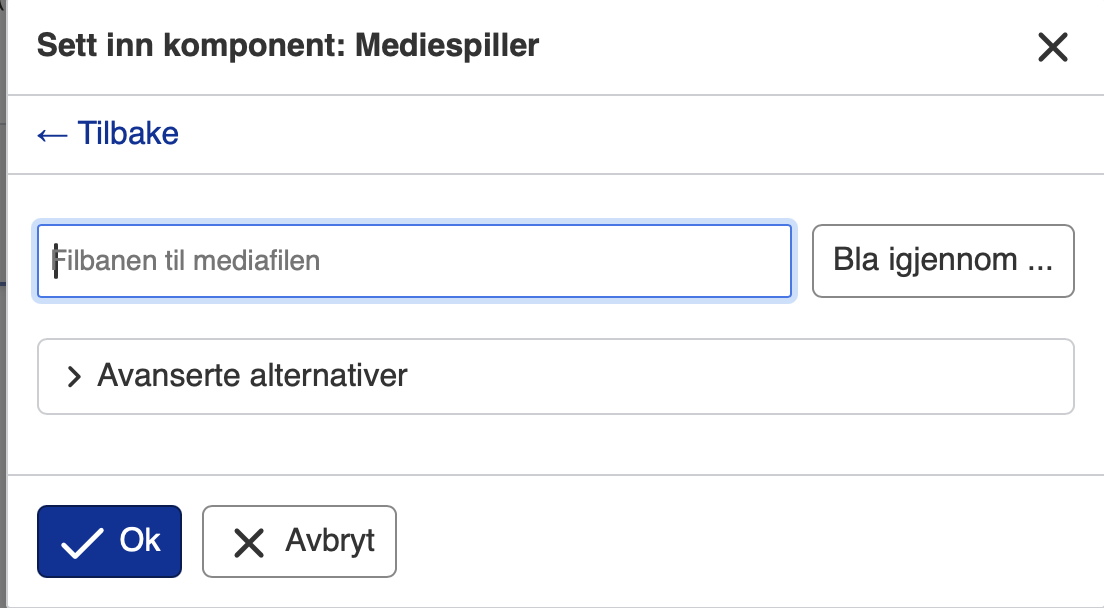 Bilde av tekstboks der man kan skrive inn filbane til mediafil