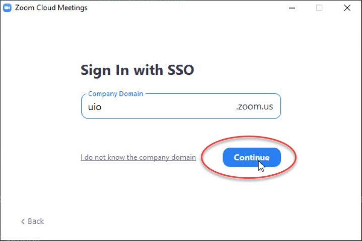 Sign in with company domain