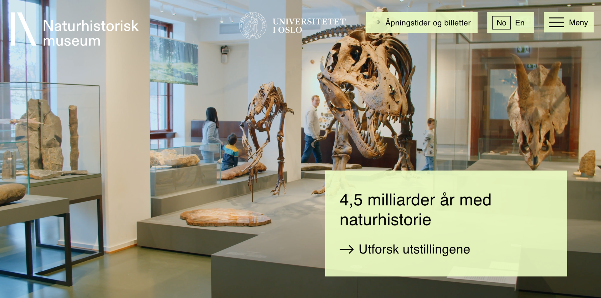 Fullbreddevideo og bilde - Eksempel fra NHM