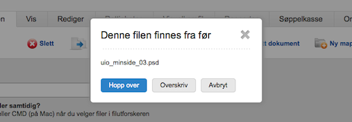 Dialogen du får opp det finnes en fil fra før med samme navn